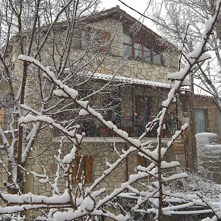 Patriko *