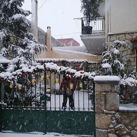 Apartament Patriko