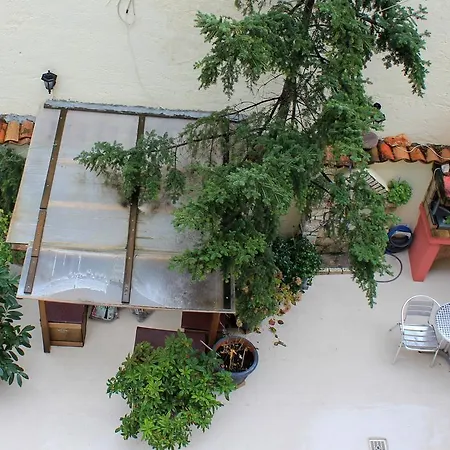 Patriko Арахова